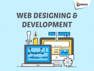 Web Design & Development Company in Pune